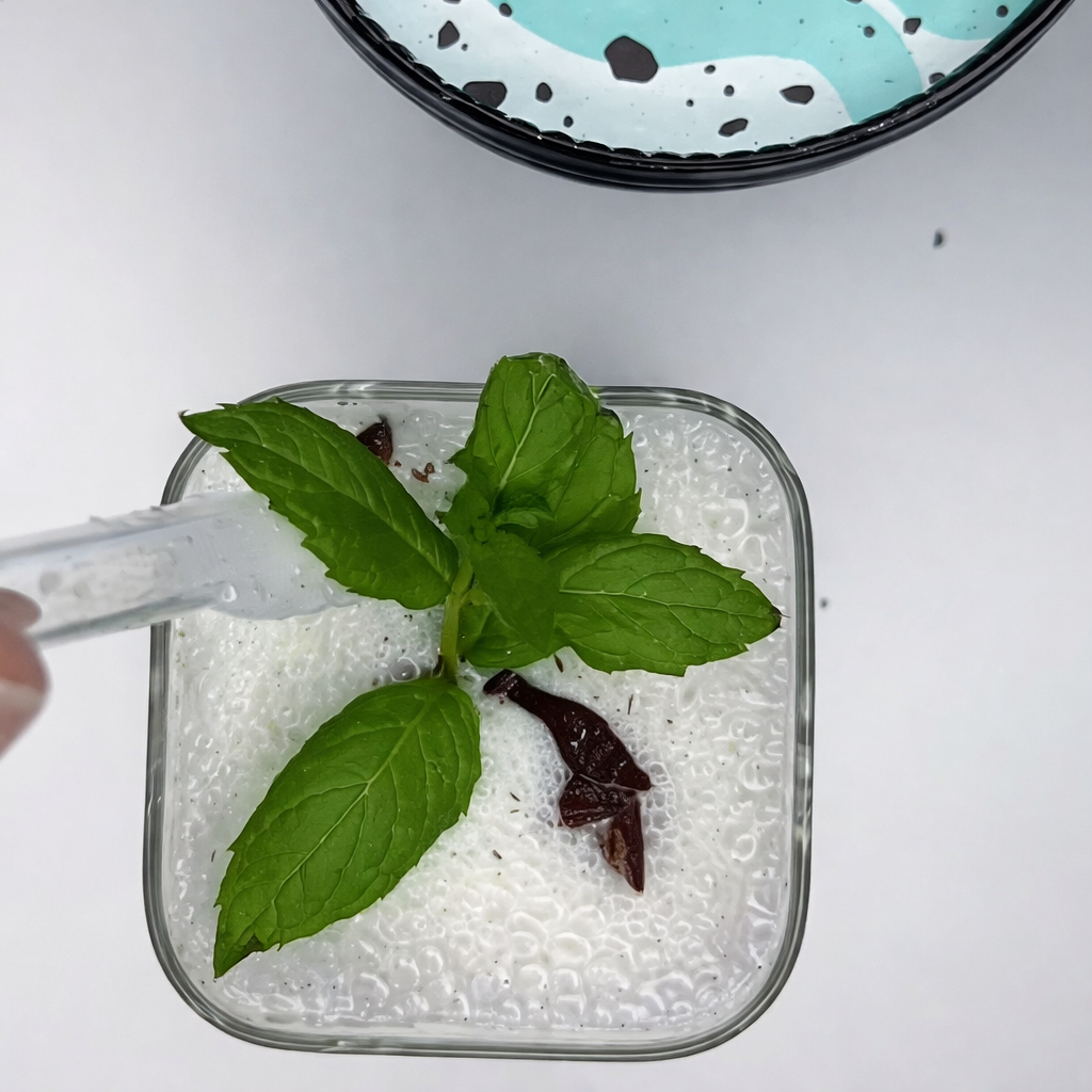 Milkshake med mint is